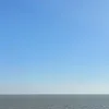 s0ph255