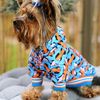 Yorkie Paradise pup