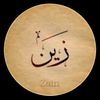 zain.sheikh463