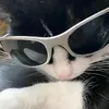 maxthesigma2