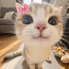 thuyanhcutepm