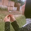 shikhaio8