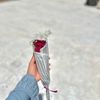 wesal0033