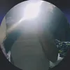 pvd_ticia