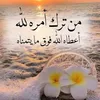 user2956510549624