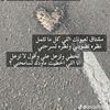 user4261727141511