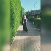 ahmedshaheen7181