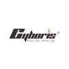 cyboris01
