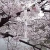 diwxxsi