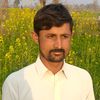 naveed.sipra34