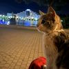 userrs_8899