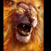 abdulhaq2429