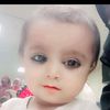jamshed9jutt