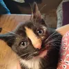 pebbles2.5