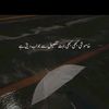 faizamalik8392
