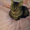 cristinagiuli88
