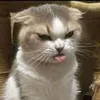 senyorakailey