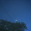 einguyen2723