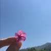 message.for.you28