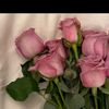 user7319615734236