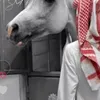 user9049320096652