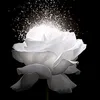 .duykim
