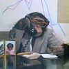 gabor.oficial1