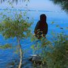 arzoo.safi