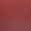 muhammedrushid_alkbar