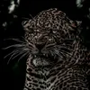 sk_sadeqi.54