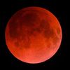 red.moon513