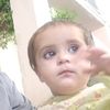 ziauddin.kakar.zi1