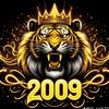dor____509