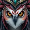 owl.king81