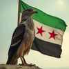 saker.damascus