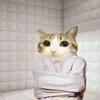 moniuwu_