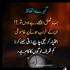 sayed.aqir.abbas