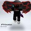 princetongamer
