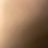 rosespider1