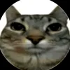 cacchmay2