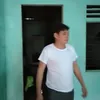 ban.cao.xun