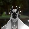 polilla_aventurer3