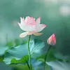 anicca_anatta