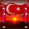 polat.reis6