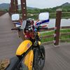 user91081243095094