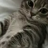 conmigohasteelfin7