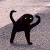 mostgoofyahhcat