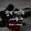 sakib.hossen009