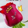 user3745679aqeel67255