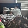 sophfuckingfunny4444
